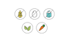 Dietary Modifications for Brazilian Cheese Bread