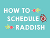 How to Schedule Raddish