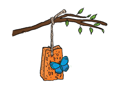 Homemade Butterfly Feeder