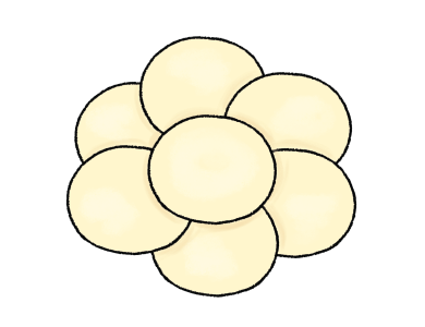 Empanada Dough