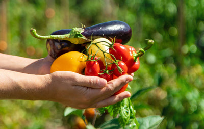 Make the Most of Summer’s Bounty