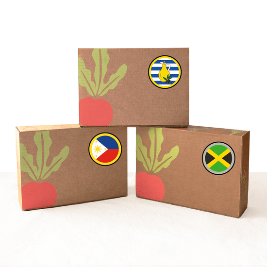 Global Discovery Bundle