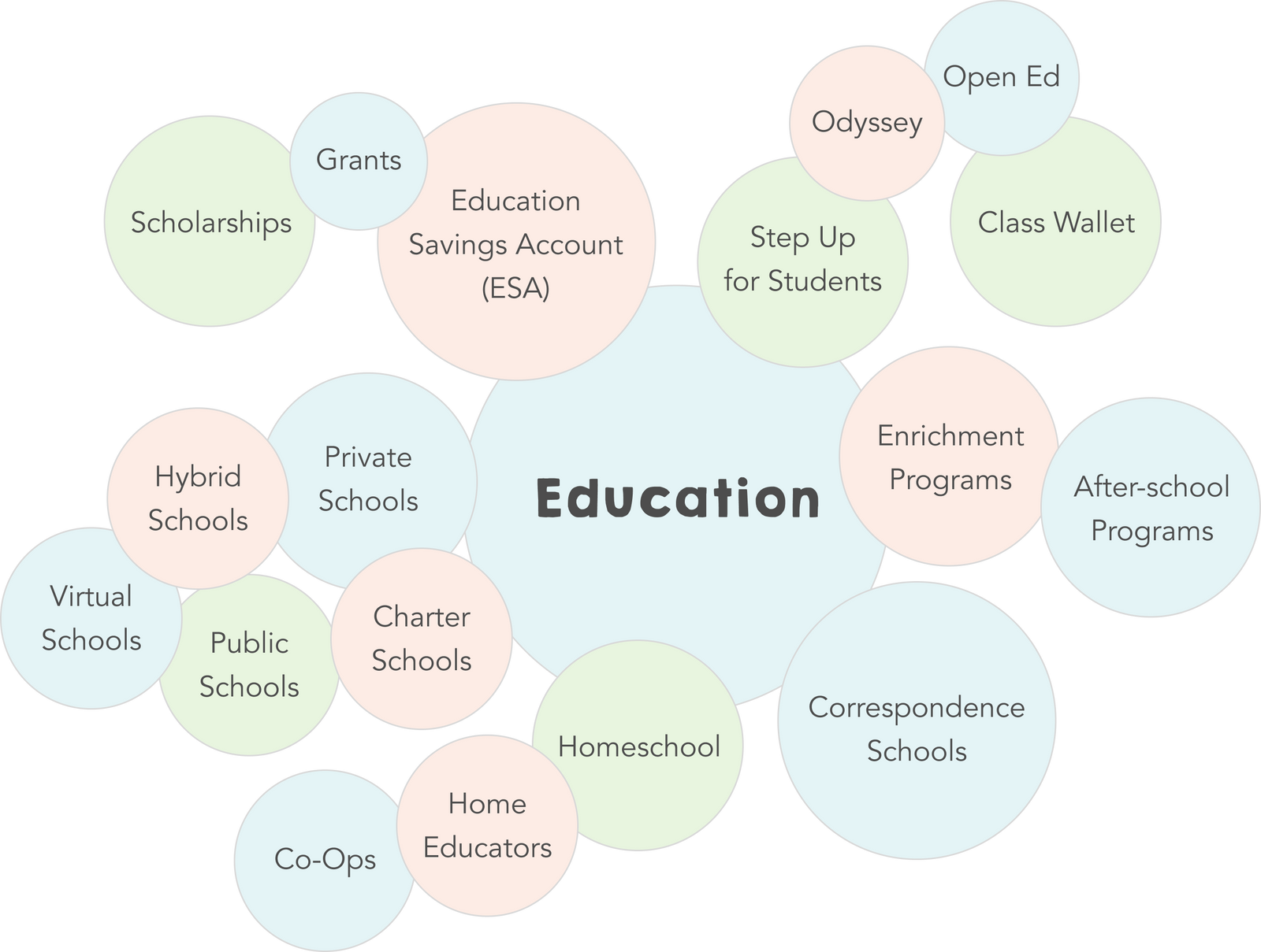 Education Types