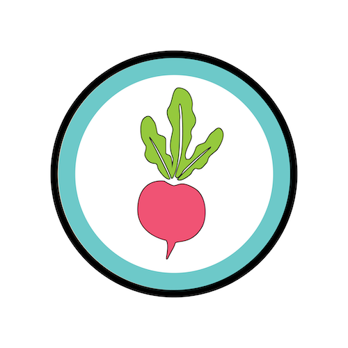 Camp Raddish Cooking Kit