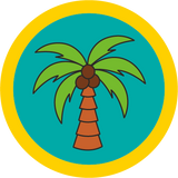 Tropical Paradise Cooking Kit.